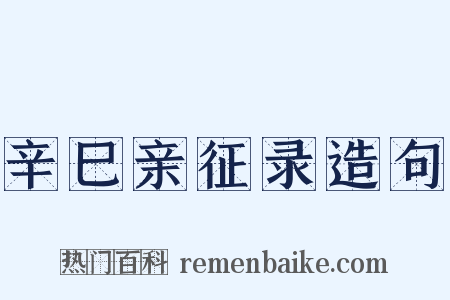 辛巳亲征录造句是什么意思的图片